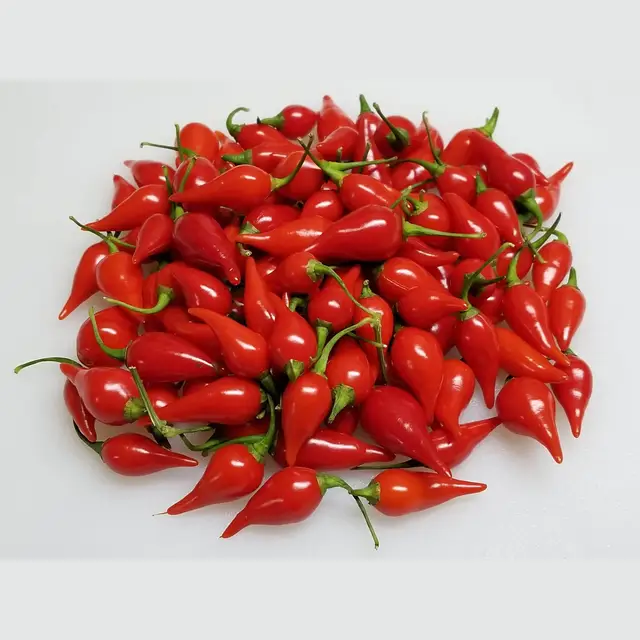 pimenta-biquinho-vermelha